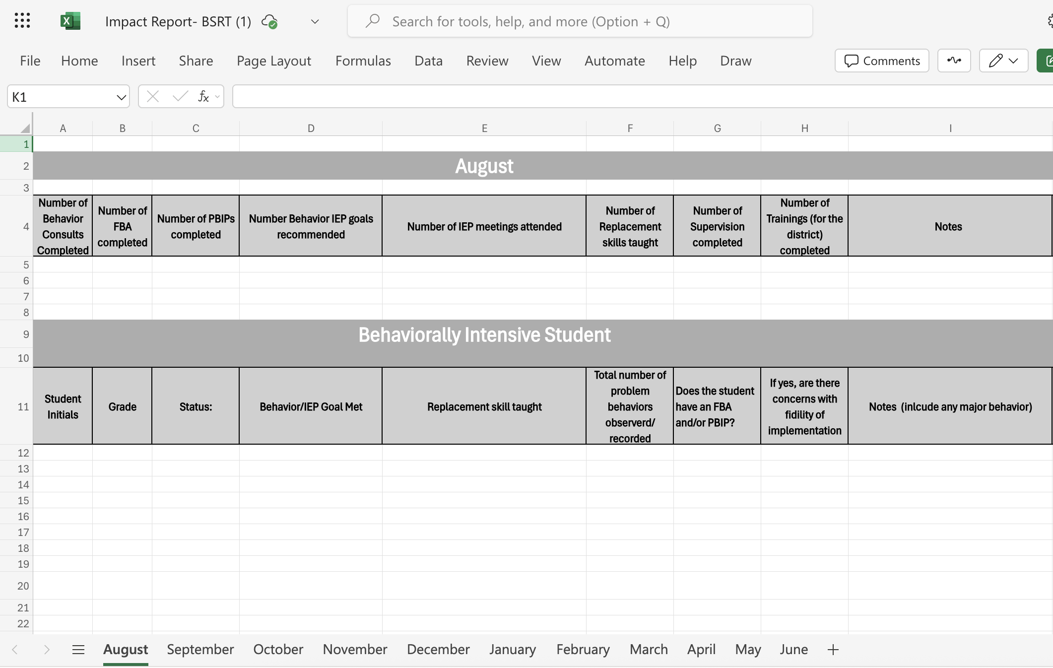 Impact Report- BSRT (1)